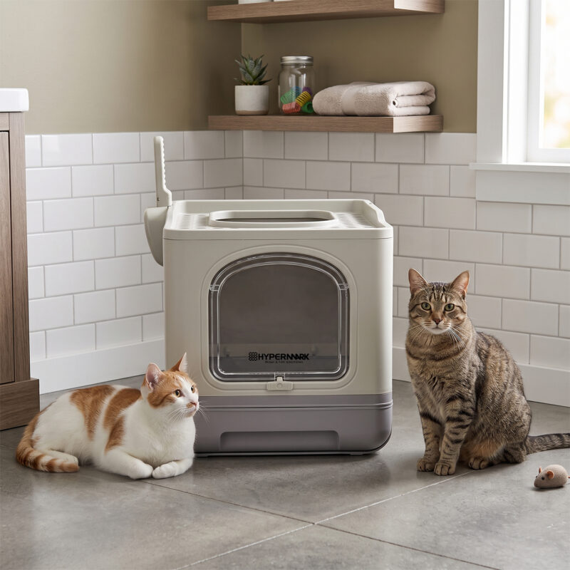 CATCUBE